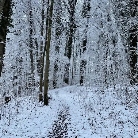 Ferienidyll Aumuehle, 