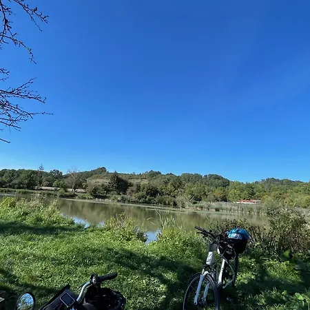 Ferienidyll Aumuehle, 